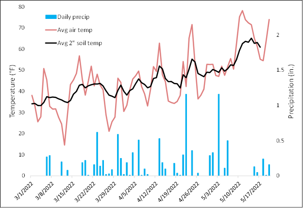 Average air and 2-inch soil temperature and daily precipitation since March 1 as measured at the Kalamazoo Enviroweather station.